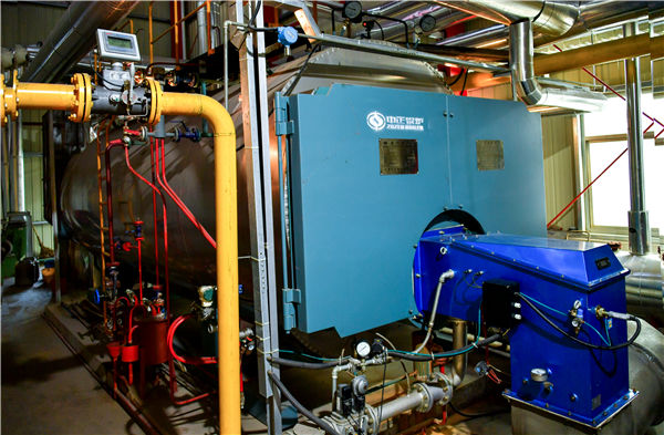 上海91香蕉视频苹果版