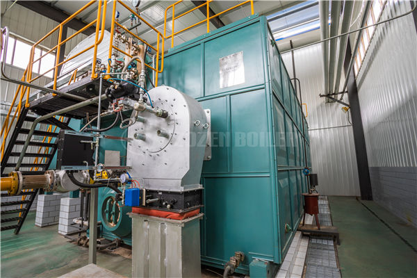 中小型化工厂6吨燃气91香蕉视频污版