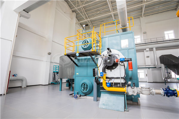 250kw真空燃气热水锅炉