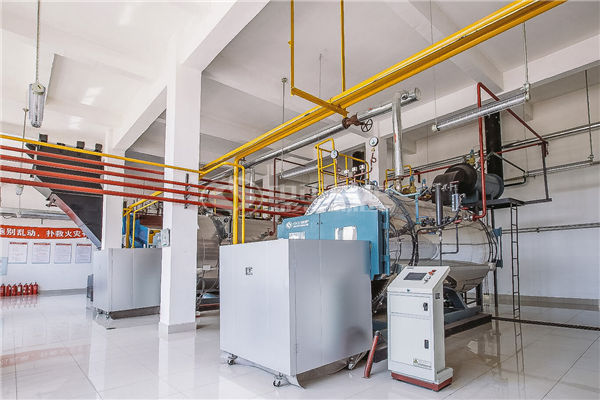 用于食品加工消毒2吨燃气91香蕉视频污版