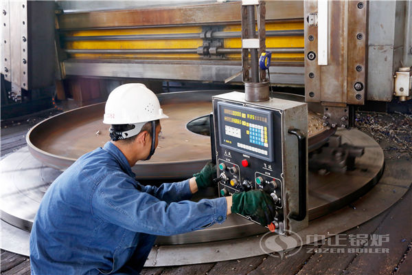 秸秆成型燃料锅炉