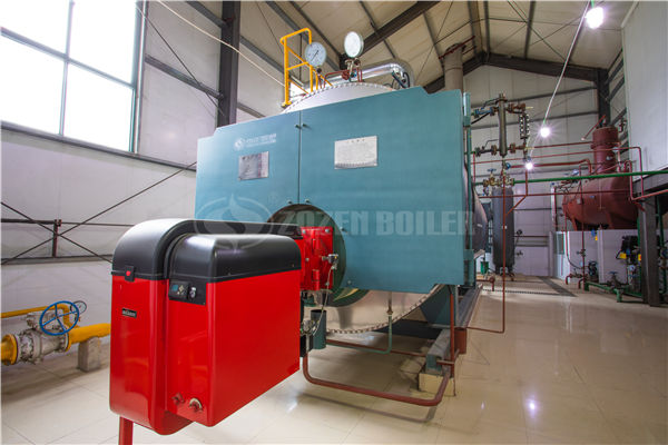 25t/h生物质锅炉