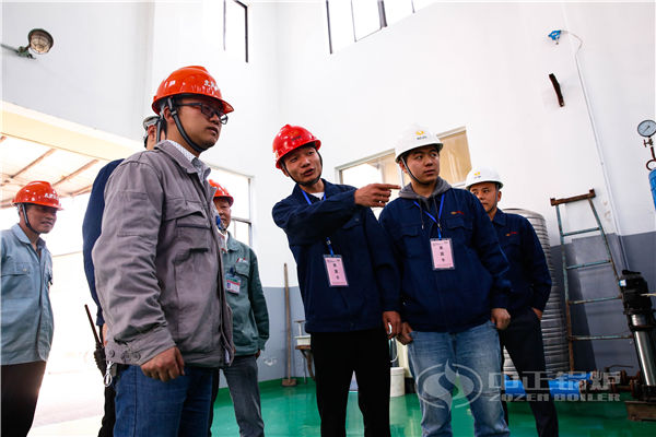 WNS4-1.25-Y.Q燃油燃气91香蕉视频污版