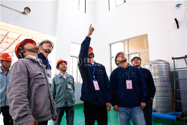 生物质锅炉的种类