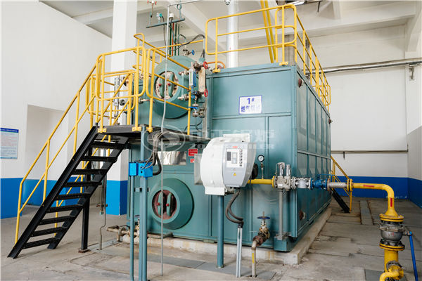 卧室循环流化床锅炉