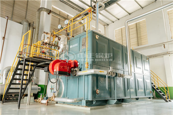 WNS6吨91香蕉视频下载地址具体技术参数